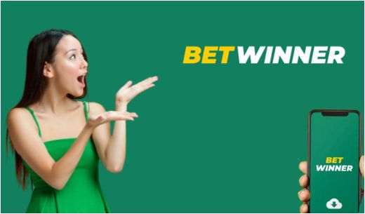 Baji live casino app download How to Install, Use and Get the Best Experience